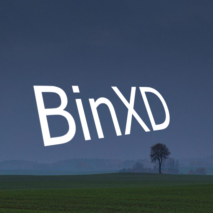 BinXD Avatar